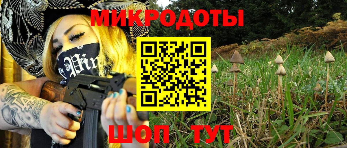 Псилоцибиновые грибы Magic Shrooms Лениногорск