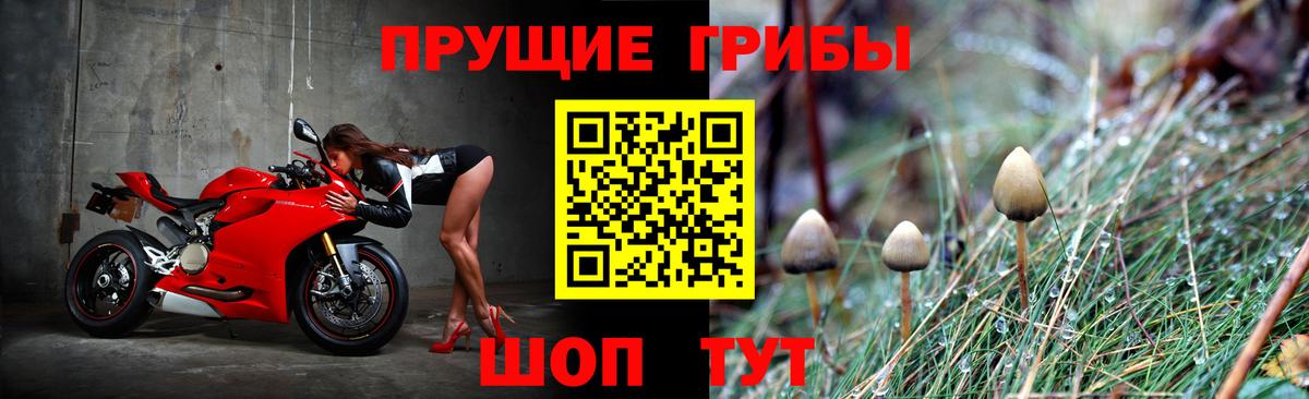 Галлюциногенные грибы мицелий  Вход с VPN  дарнет шоп  Лениногорск 